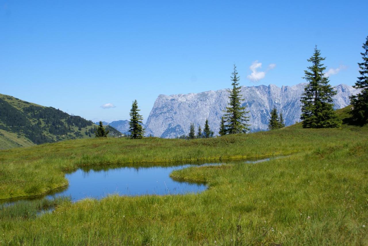 Das Sonneck Mühlbach am Hochkönig Exterior foto